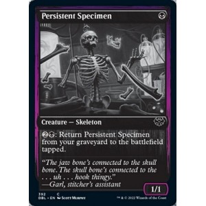 しつこい標本/Persistent Specimen