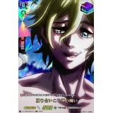 殴り合いこそ漢の闘い【ヴァンガード】